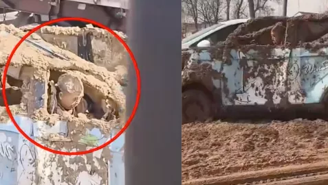 山东济宁老头乐