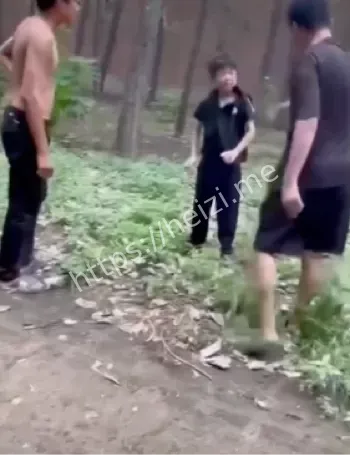 山东临清王集村霸凌事件